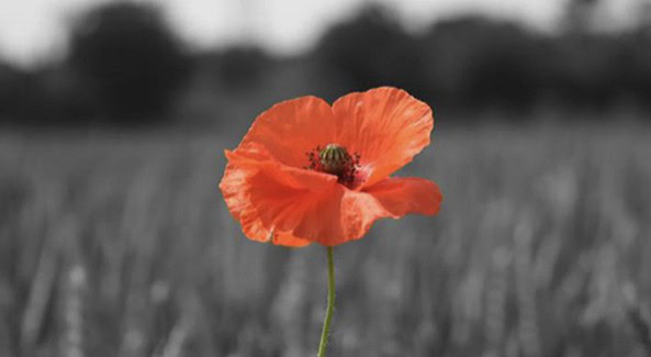 WE WILL REMEMBER THEM
