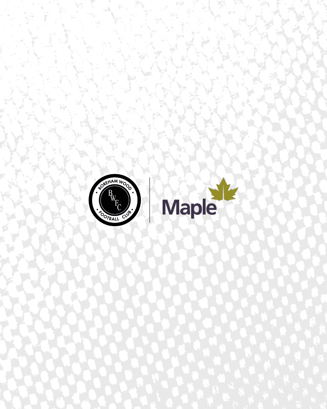 Maple Accountancy continue its sponsorship for another season